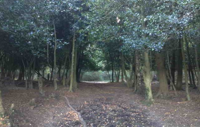 Preparing for the plan