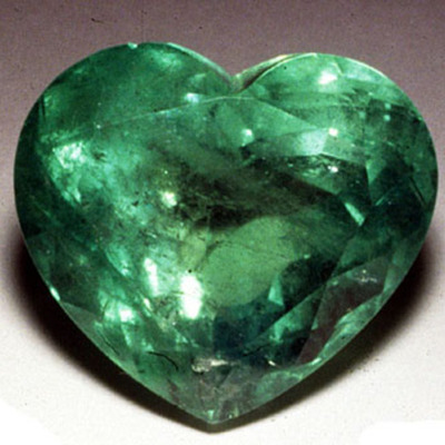 Timeline: mi hermosa vida