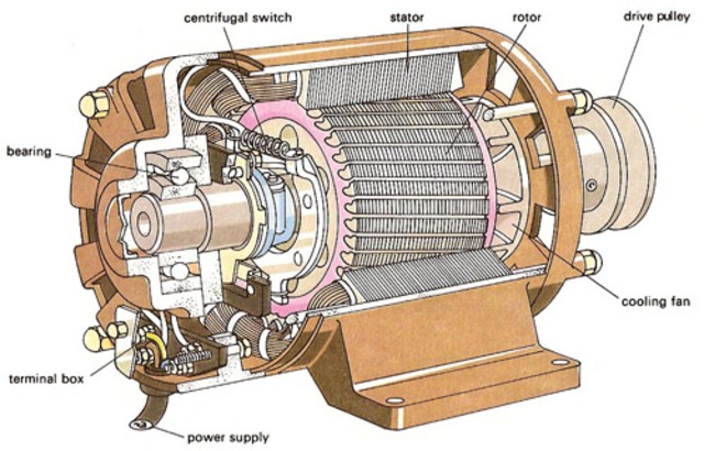 Electric Motor