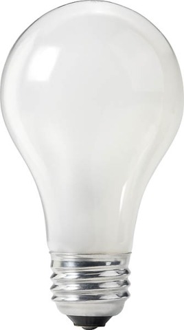 The Light Bulb