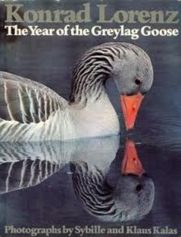 The Year of the Greylag Goose