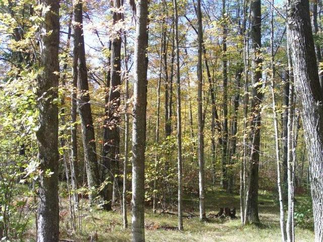 Grandpa Bessert passed away