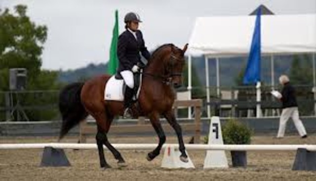 Went to State Dressage Show