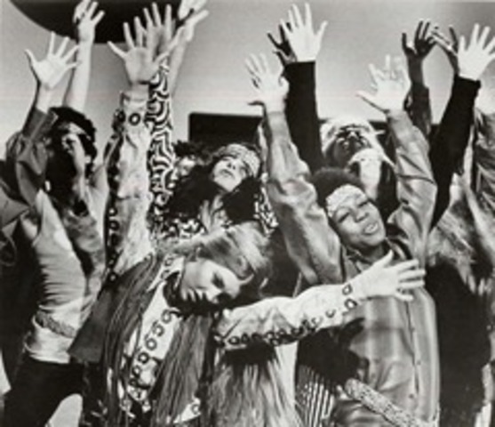 Counter Culture of the HIppy Movement