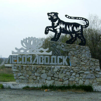 Timeline: Лесозаводск - наш город!