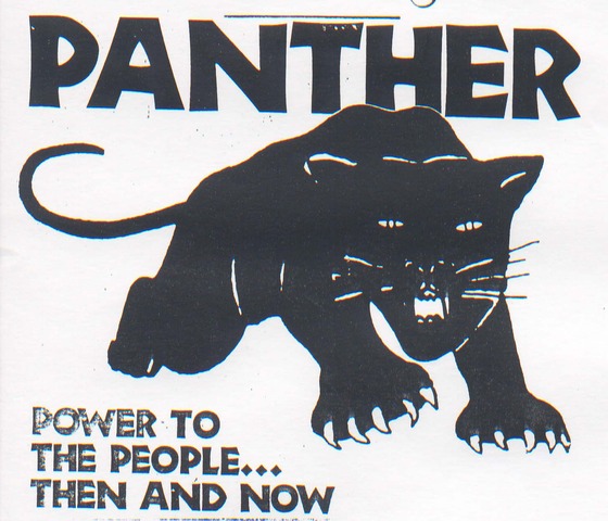 Black Panthers (Chapter 31 Section 3)