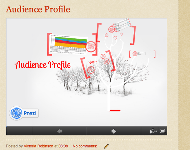 Finished Audience Profile