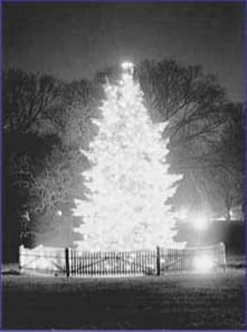 Calvin Coolidge places the first National Christmas Tree in Lafayette Park