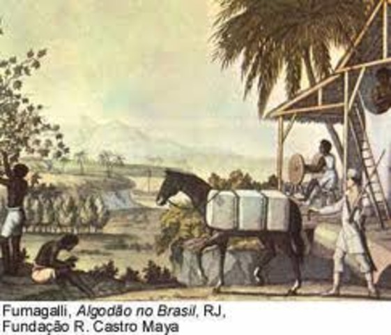 fundação da Companhia Geral de Comércio do Grão-Pará e Maranhão