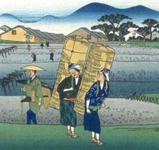 Success of C'u-ts'ai's Reformation