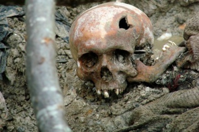 Genocide in Bosnia and Herzegovina