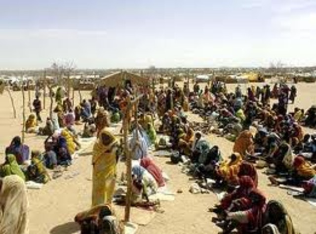 Darfur Conflict
