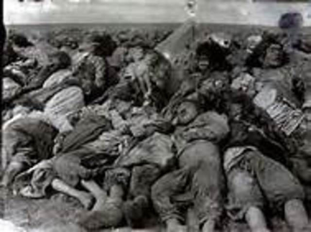 Genocide in Bosnia and Herzegovina