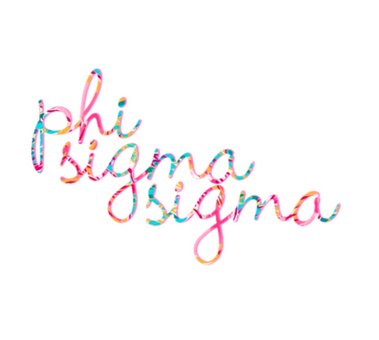 Sisterhood Development Co-Chair