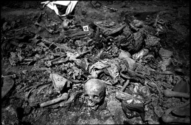 Genocide in Bosnia and Herzegovnia