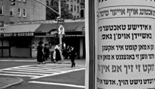 Self Employment Laws