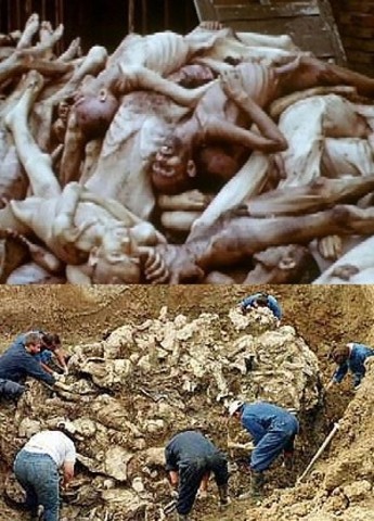 Genocide in Bosnia and Herzegovina