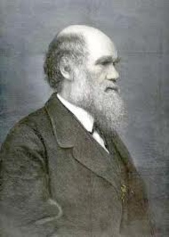 Publica The Descent of Man and Selection in Realtion to Sex (La descendència humana y la selecció sexual).