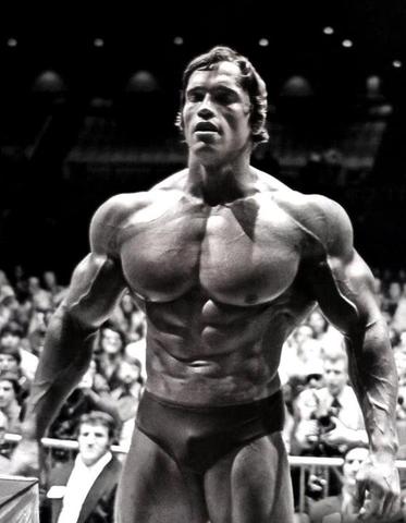 Arnold