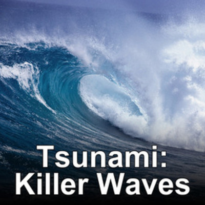 Timeline: Japans Tsunami
