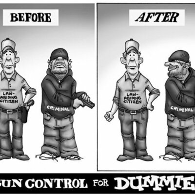Timeline: Gun Control