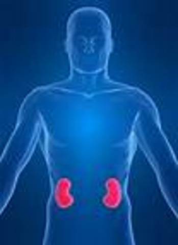 The First Sucessful Transplant