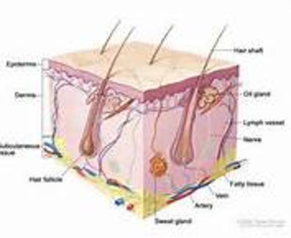 First Approved Drug for Skin Cancer