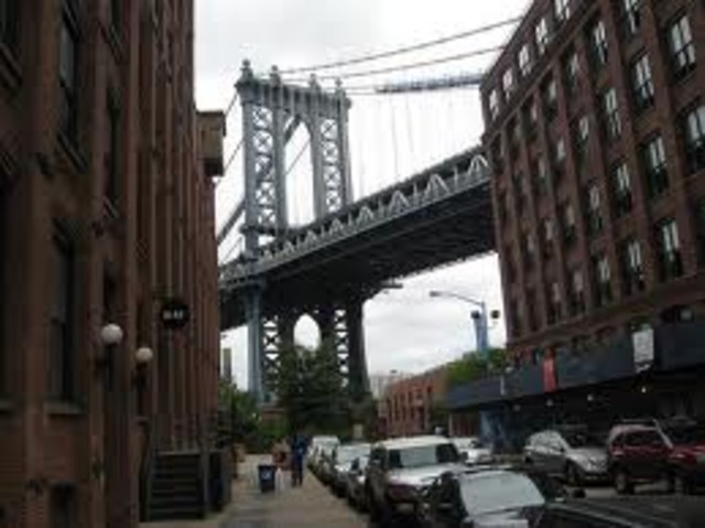 Shaggy is discovered