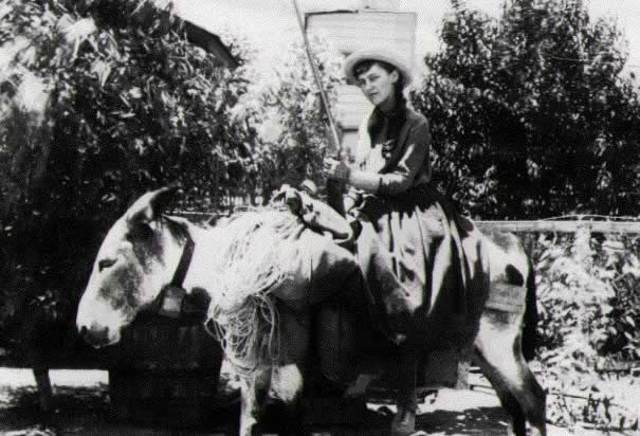 The Hoovers' Honeymoon