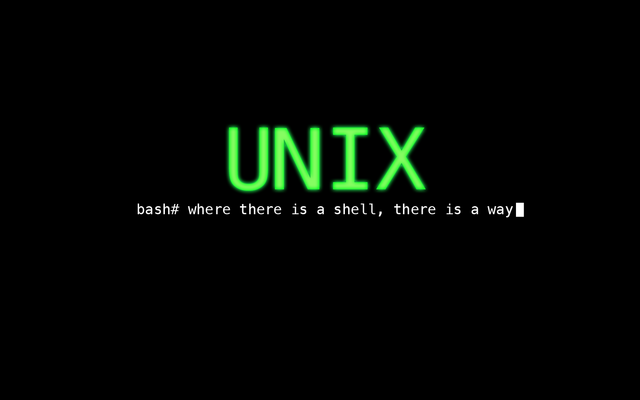 UNIX operating system