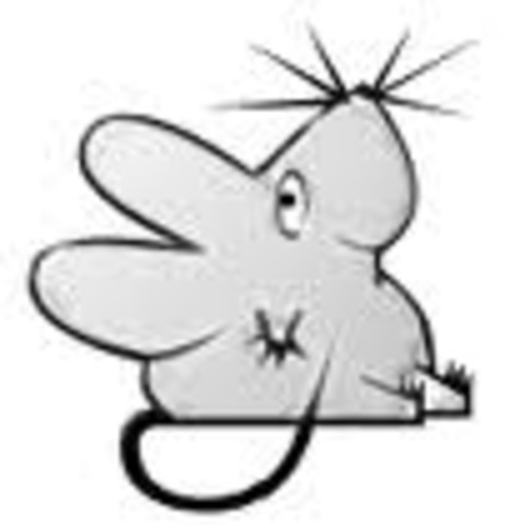 Vladek and Anja's first