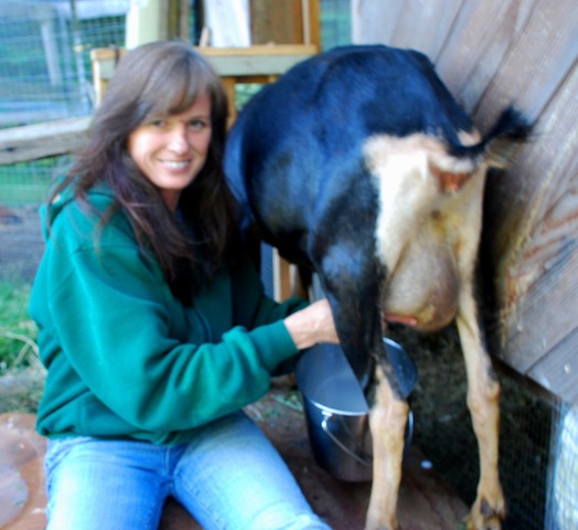 Poplar Dairy has 130 goats