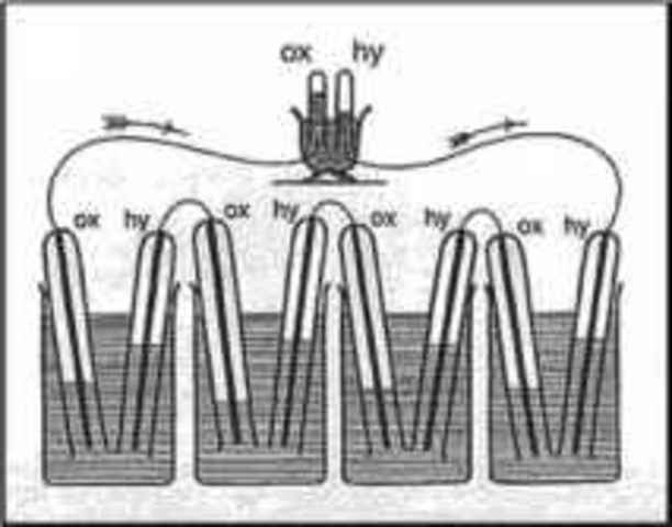 Very first fuel cell is designed