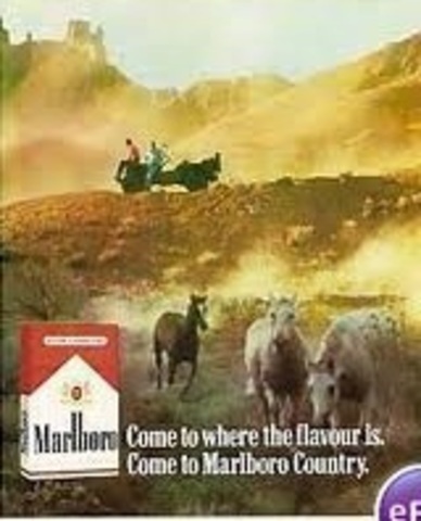 RESPONSABILIDAD SOCIAL EN EL MARKETING