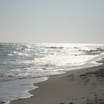 Timeline: La Vida de Mandy