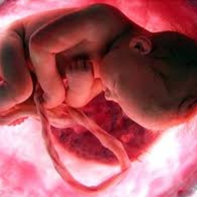 Timeline: Cambio histórico en la concepción de infancia.