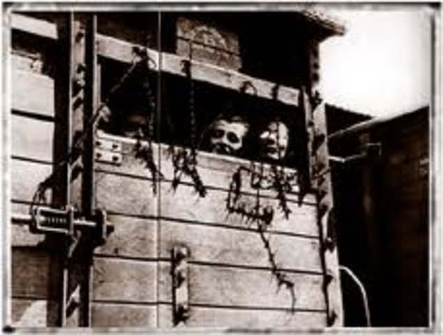 Jews from Sighet deported to Auschwitz