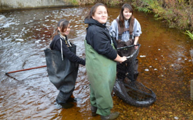 Sturgeon return to Menominee River Indian Reservation