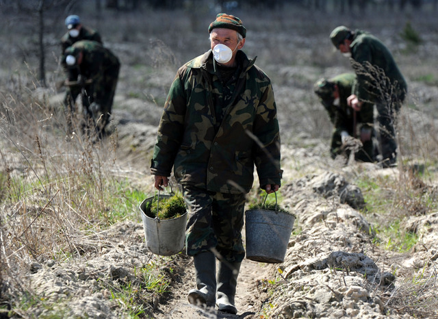 Chernobyl Nuclear Accident