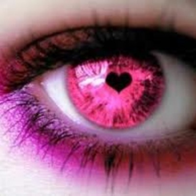 Timeline: fechas importantes