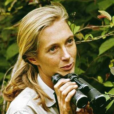 Timeline: Jane Goodall's Life