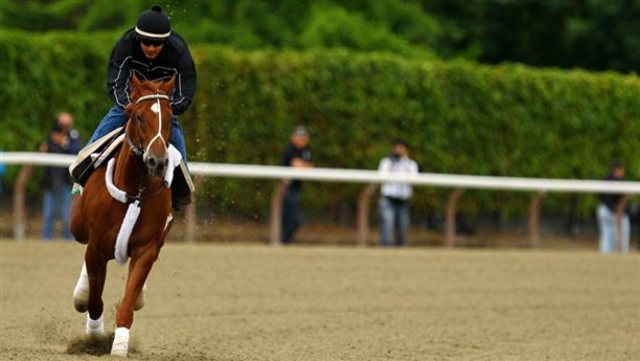 I'll Have Another Hurt