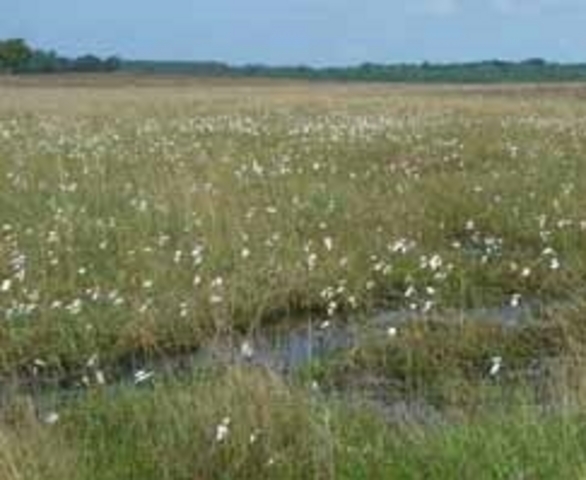 The National Park Plan