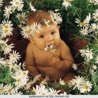 Timeline: FECHAS ESPECIALES