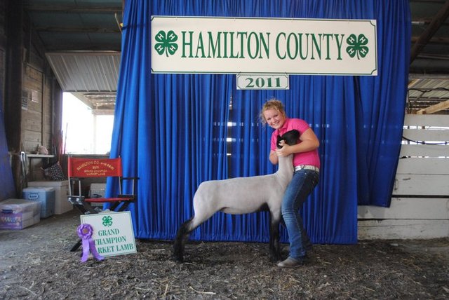 Hace dos años que puse ganar la oveja de campeón.