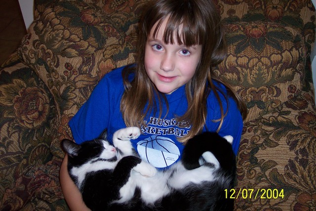 Fui un dueño del gato por la primera vez hace nueve años.