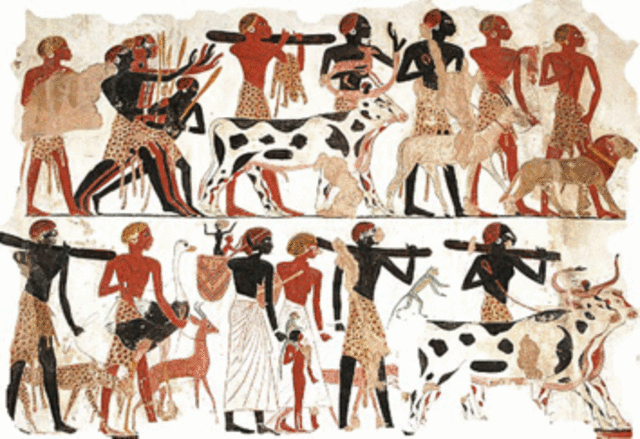 Agruculture In Mesopotamia