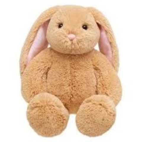 When I got my Bunny from Bild-a-bear.