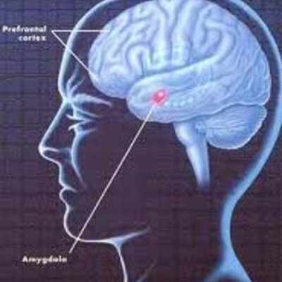 Timeline: Evolución histórica de la psicopedagogía