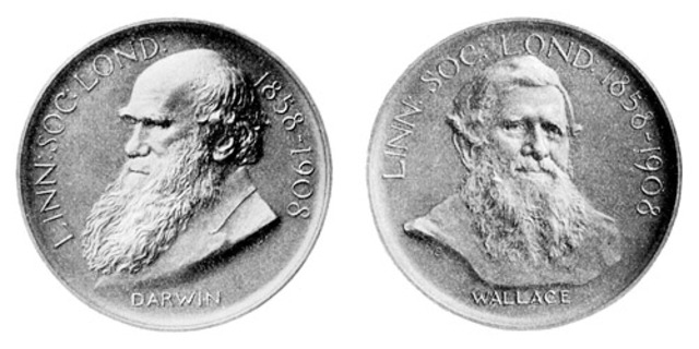 REP LA MEDALLA DARWIN-WALLACE